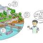 city_1598.jpg