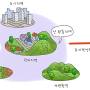 city_423.jpg